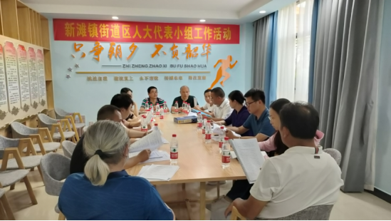 新滩镇街道积极开展人大代表活动_邵阳头条网