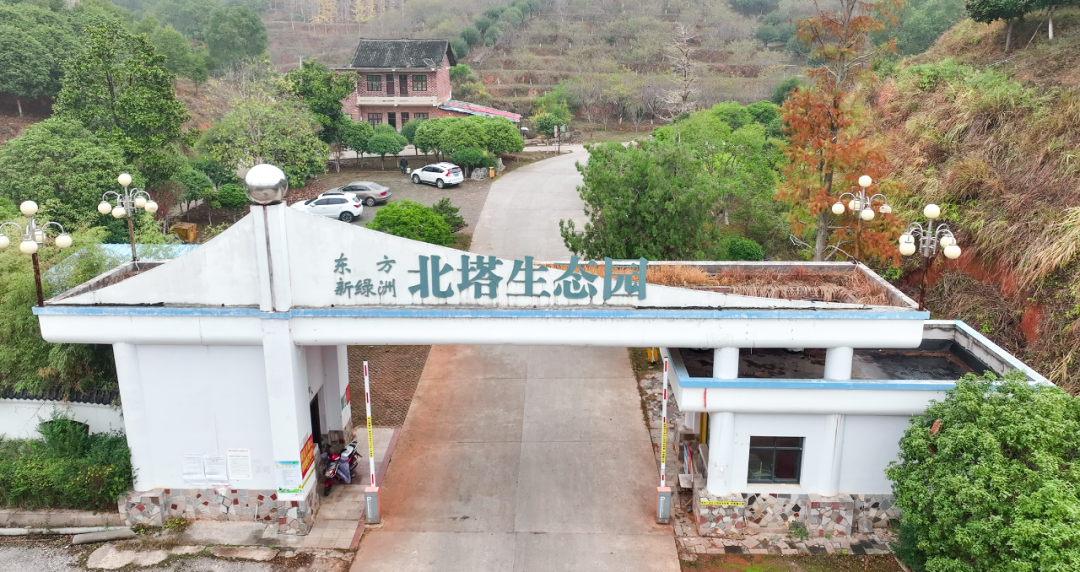 北塔区：春节游园 文明成“新风景”_邵阳头条网
