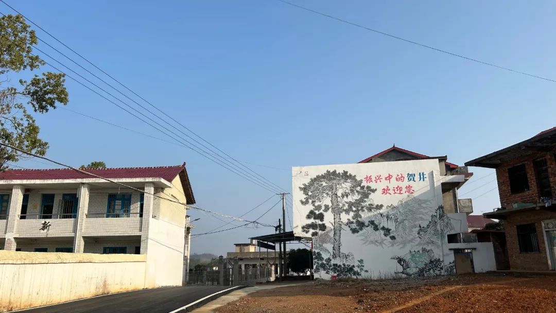 陈家桥镇：“十无”工作法引领人居环境整治 擦亮乡村振兴“新底色”_邵阳头条网