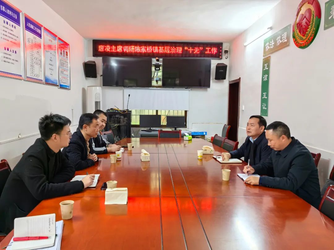 唐凌调研督导陈家桥镇“十无”工作法落实情况_邵阳头条网