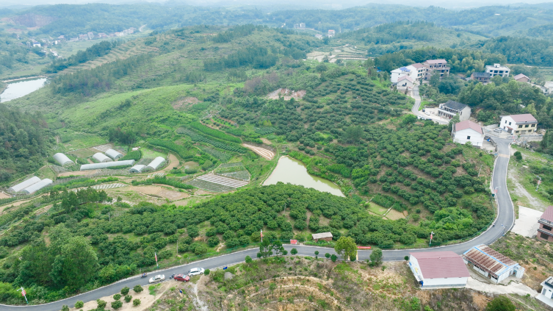 北塔区李子塘村：杨梅红了 开启乡村“梅”好时光_邵商网