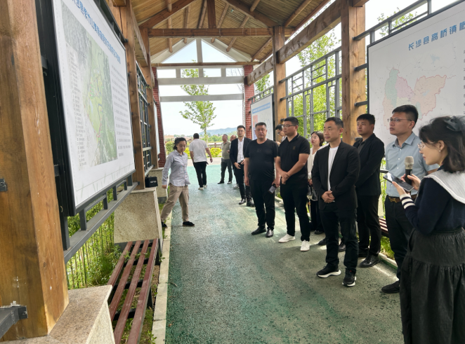 陈家桥镇：念好“六字诀” 激发群众自治活力_邵阳头条网