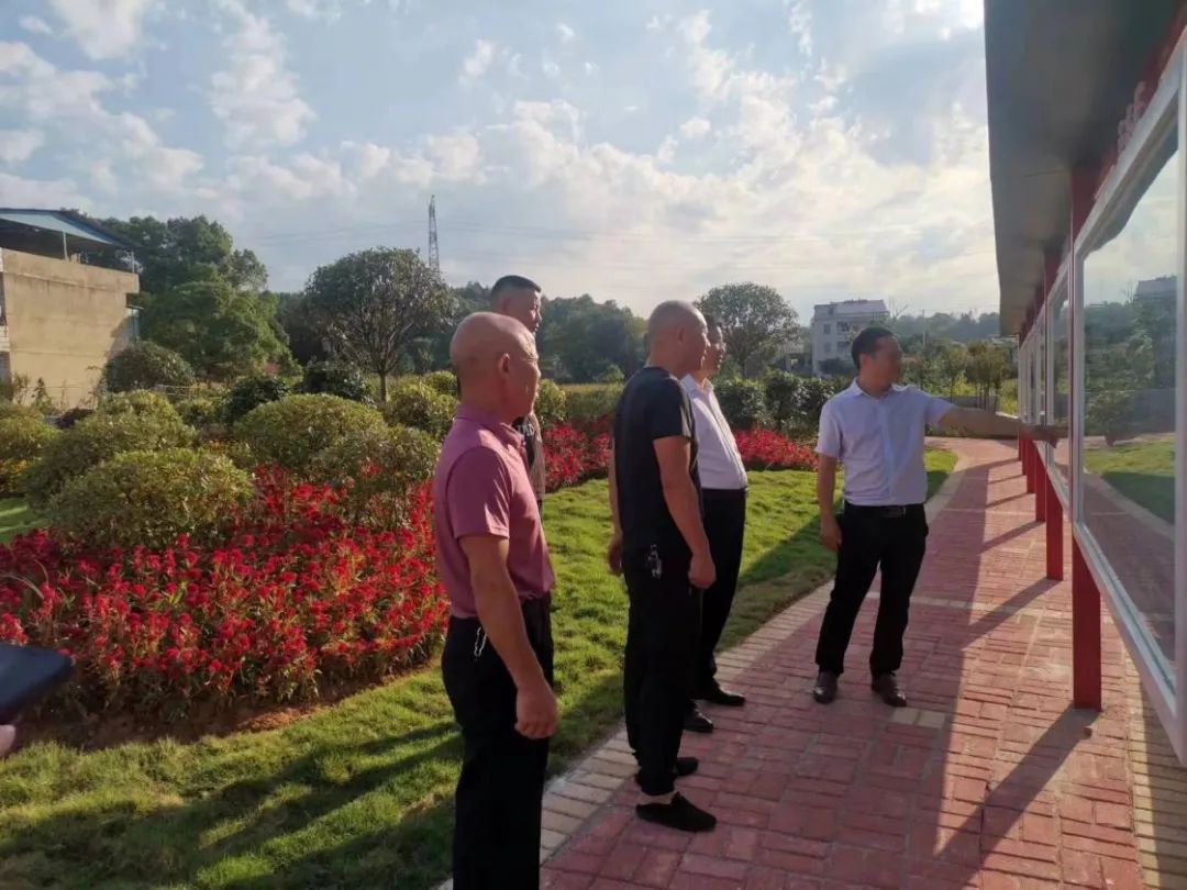 杨桂林调研茶元头街道乡村振兴及美丽乡村建设工作_邵阳头条网
