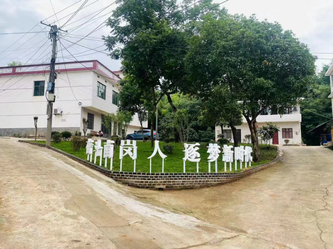北塔区新滩镇街道学习浙江“千村示范、万村整治”经验——打造城市居民“远方的家”_邵阳头条网