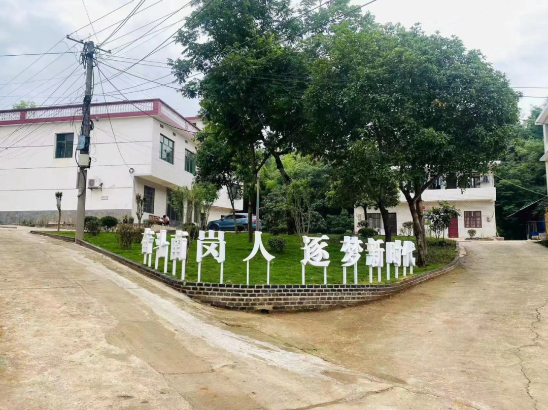 北塔区新滩镇街道学习浙江“千村示范、万村整治”经验——打造城市居民“远方的家”_邵商网