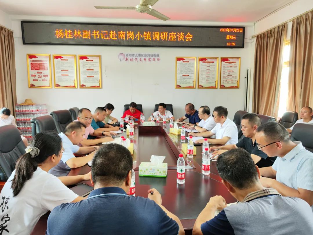 加快推进新滩镇街道“南岗小镇”建设_邵阳头条网
