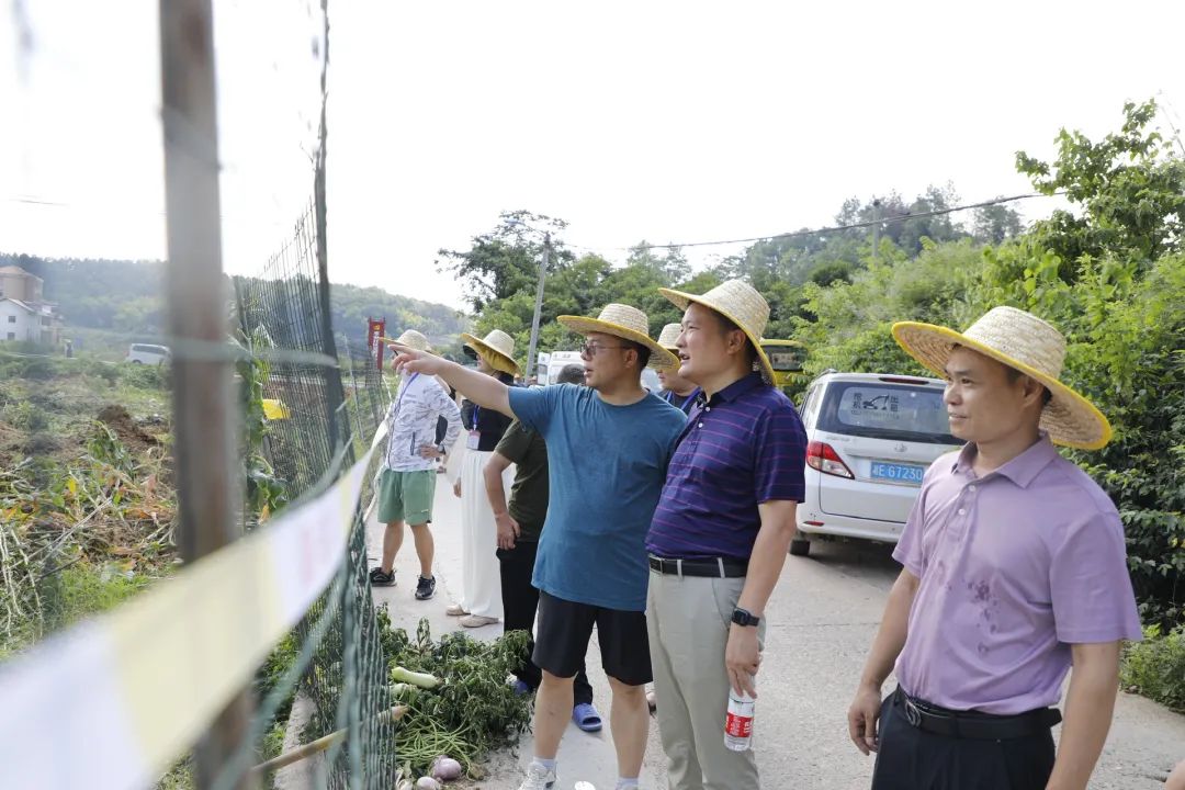 北塔区加快推进征地工作_邵阳头条网