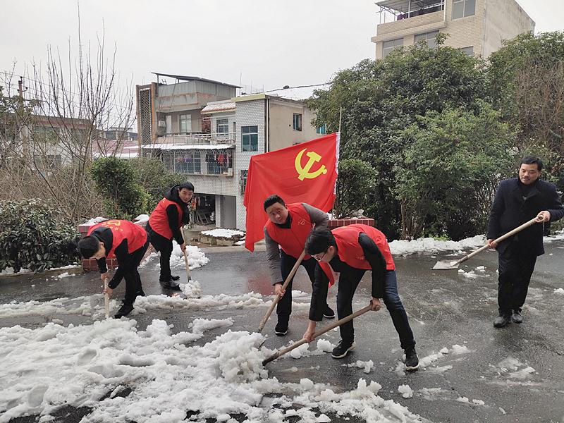 观音庵社区开展“抗击冰雪、党员带头”主题党日活动(图1)