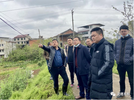 察实情 出实招 区委常委、常务副区长陈名洋带队现场调度土地储备项目(图1)