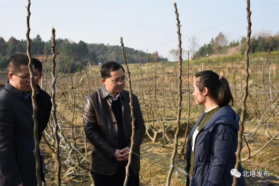 用心用情深入调研  同吃同住同谋发展——肖平在同兴村住村调研侧记(图1)