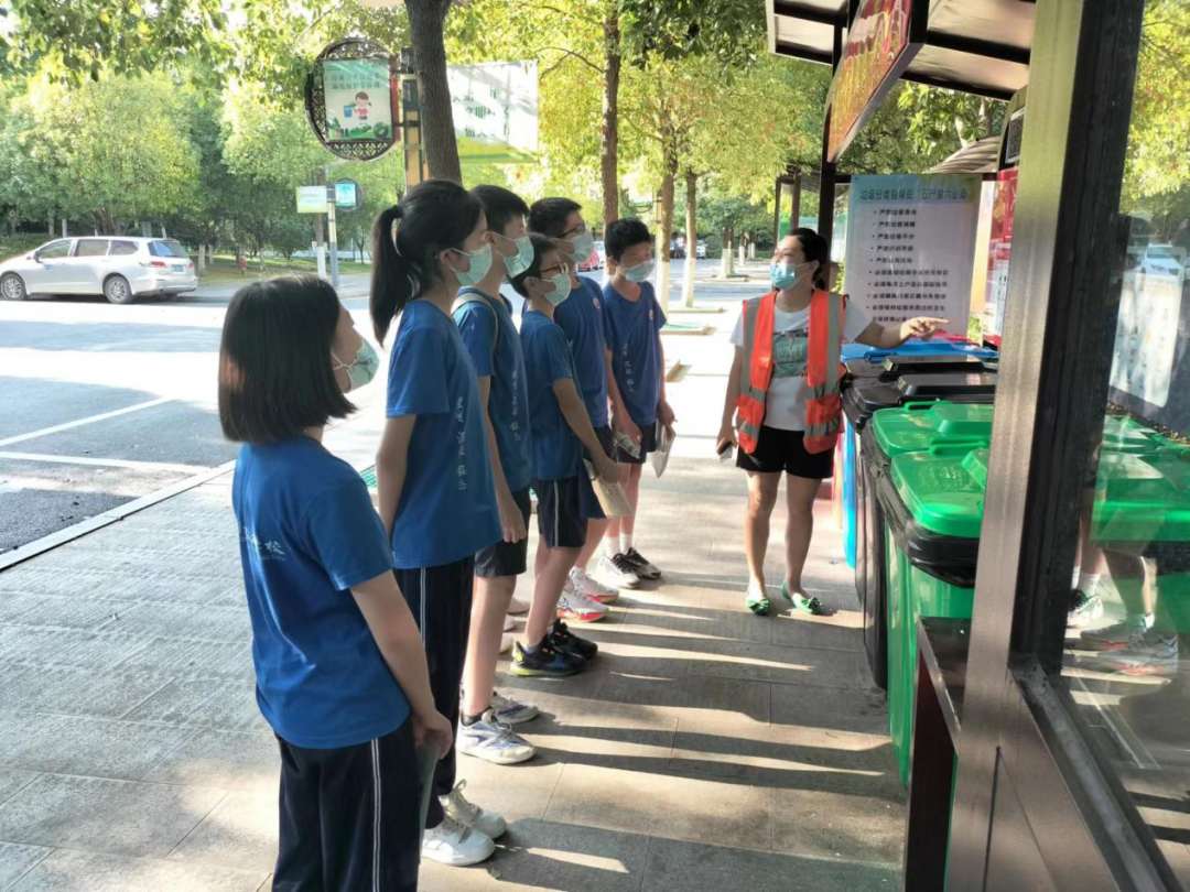 创建文明城市 北塔城管在行动(图1)