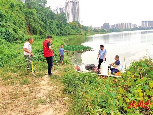 水清鱼跃生态美——邵阳市北塔区禁捕退捕工作纪实(图2)