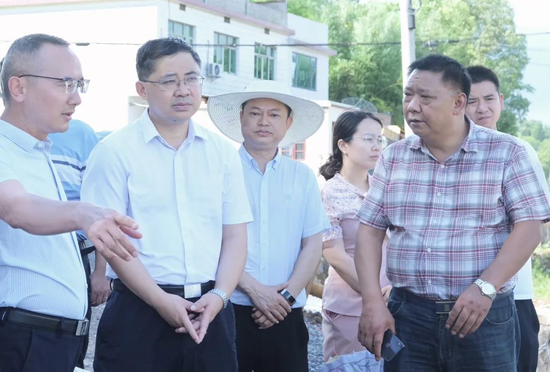 肖平调研高标准农田建设和水库防汛备汛工作(图1)