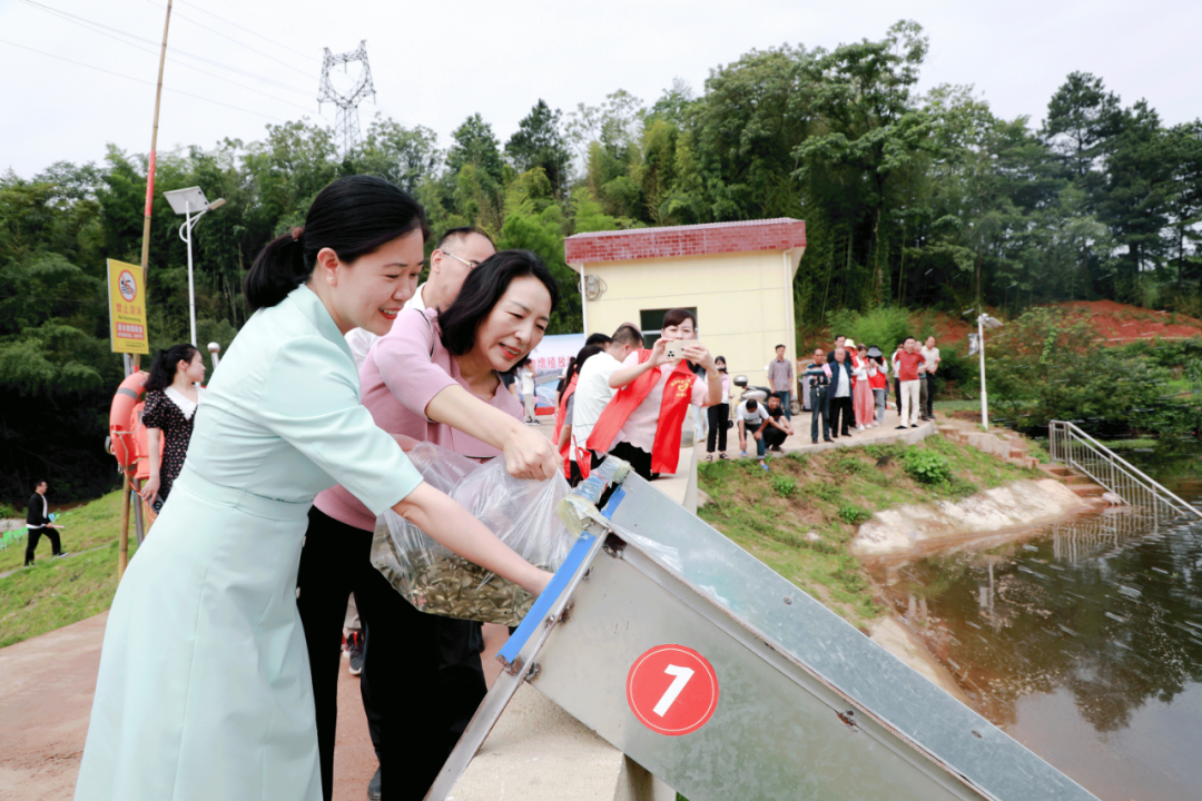 北塔区：100万尾鱼苗增殖放流护生态(图1)