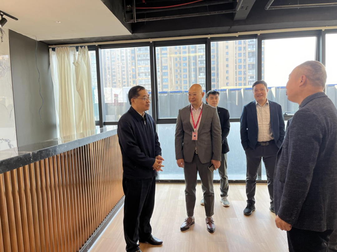 肖平现场调研重点项目建设进展情况(图1)