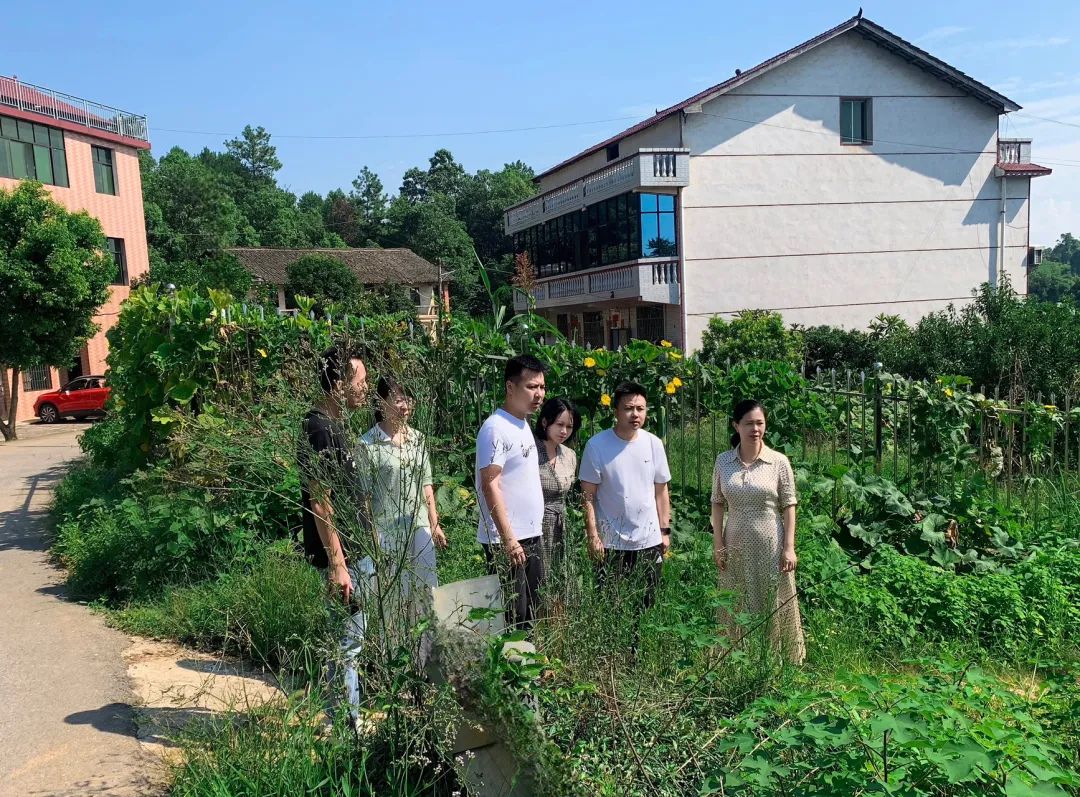 姚文娟带队巡查河道并督导道路安全、防溺水工作(图1)
