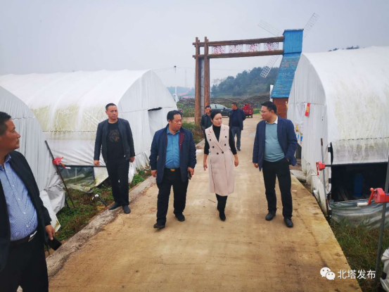 实地调研走访 助力脱贫攻坚(图3)