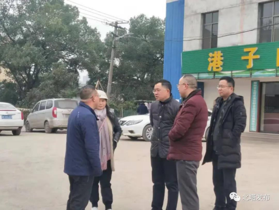 肖平到新滩镇街道调研沿河经济带发展和项目建设(图2)