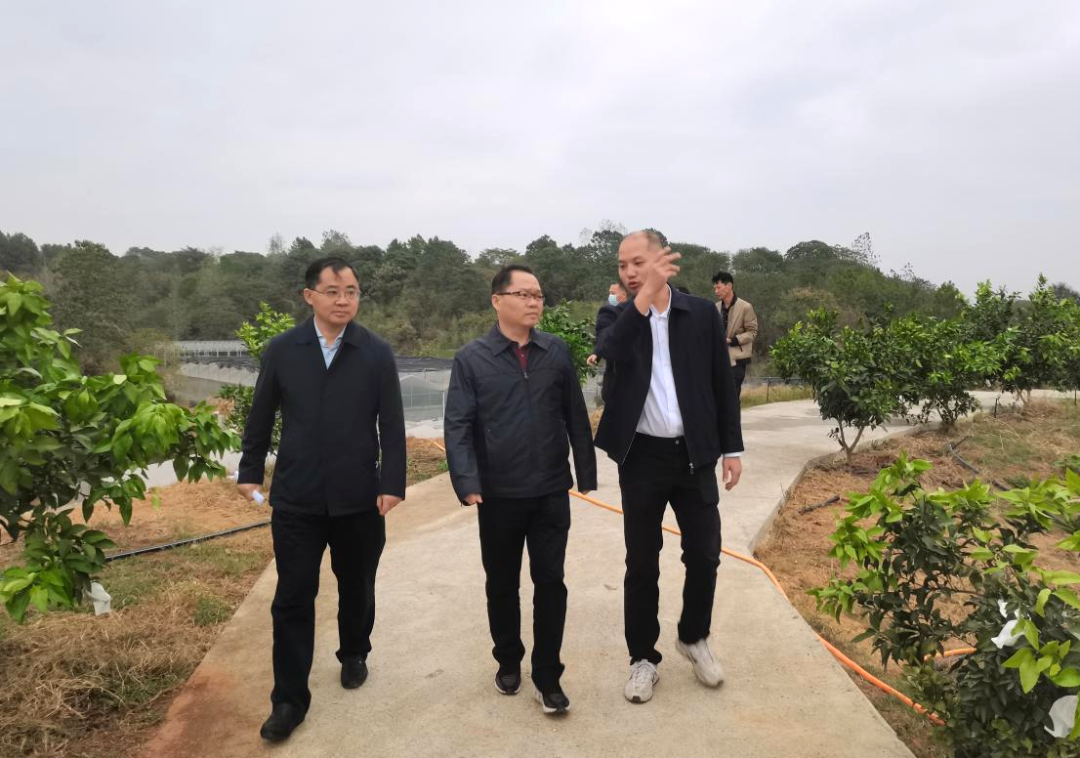 吴旭鹏到北塔区调研指导乡村振兴、安全生产和疫情防控工作(图1)
