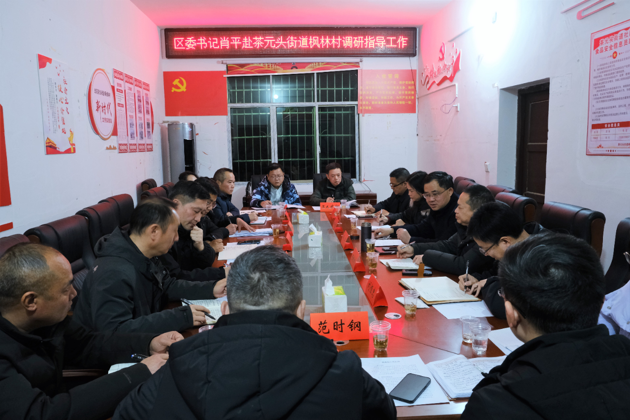 肖平到枫林村调研指导工作(图1)