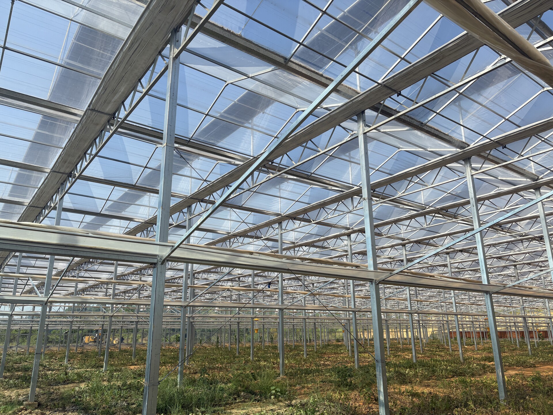 北塔区白田社区：多样化种植实现“一棚多收”(图1)